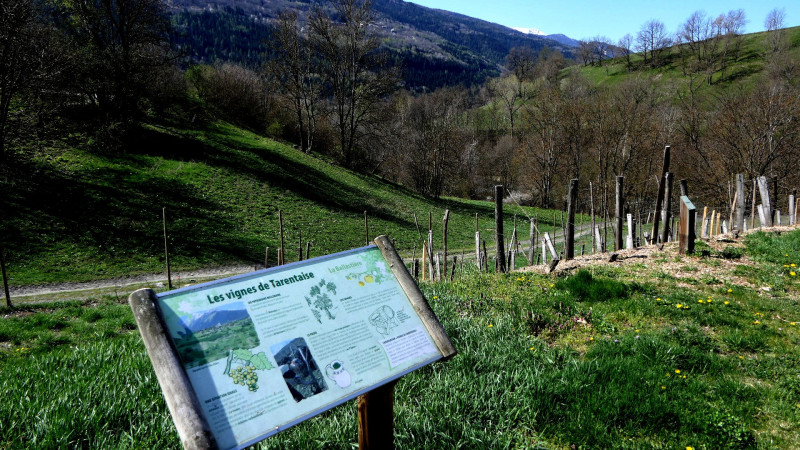 Le Verger de la Balastière