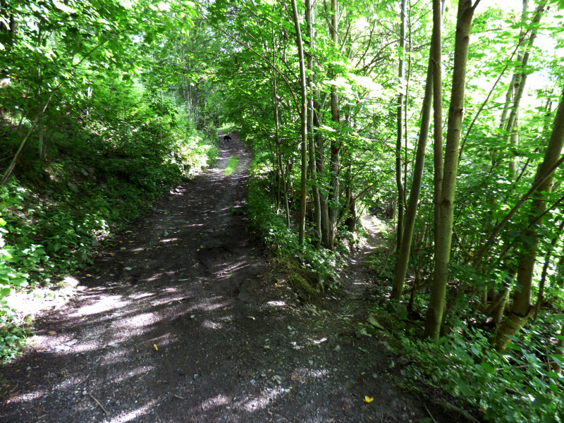 Tour du bois de l'église de Peisey - © MNPC Tour du bois de l'église de Peisey