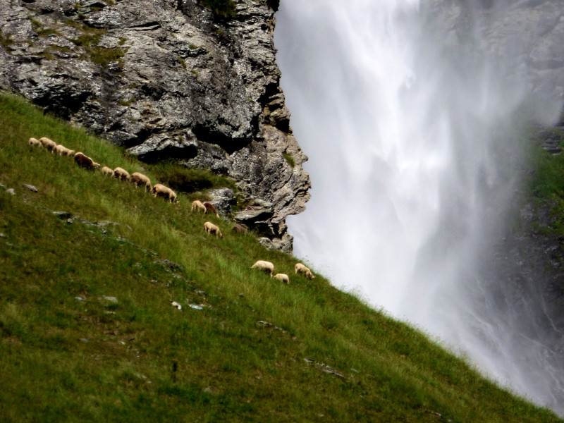 cascade_et_moutons_5_juillet_2015_1.jpg cascade_et_moutons_5_juillet_2015_1.jpg