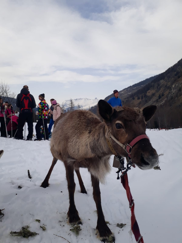 Pass montagne - Snowshoe's strolls and hikes_Peisey-Vallandry Pass montagne - Snowshoe's strolls and hikes_Peisey-Vallandry