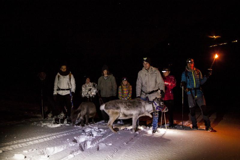 Nocturne 1 Nocturne 1