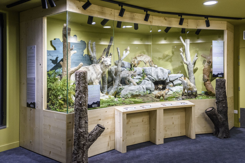 Muséum des Animaux de Montagne Muséum des Animaux de Montagne