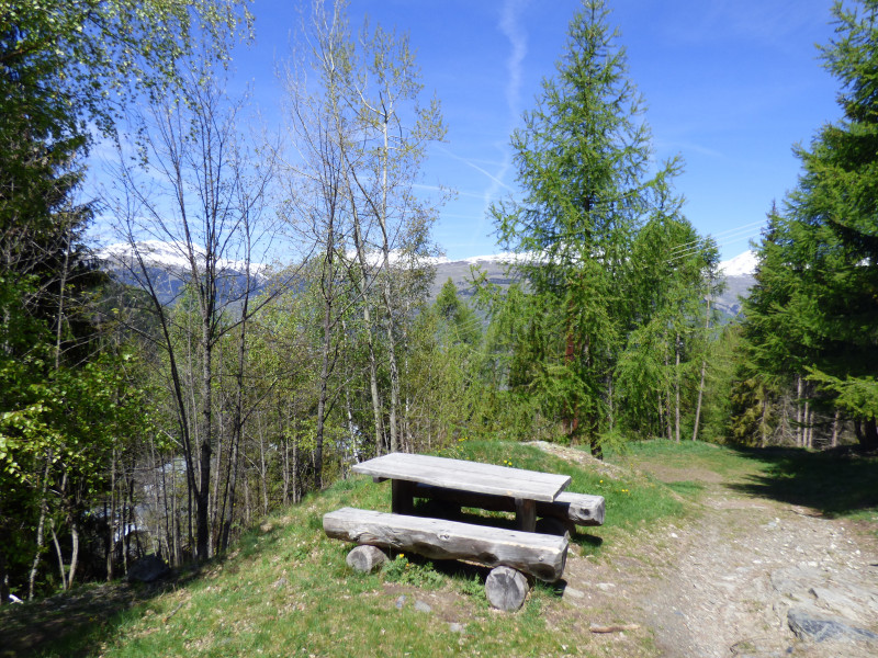 Tour du bois de l'église de Peisey