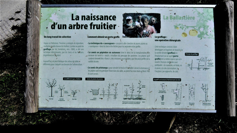 verger de la Balastière