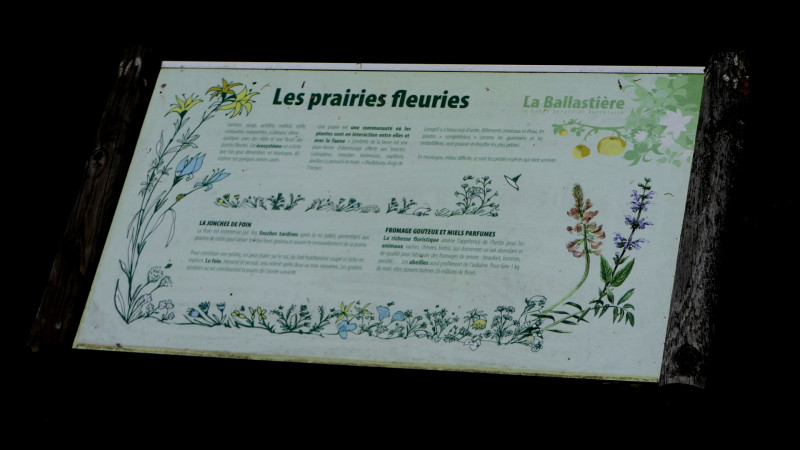 verger de la Balastière