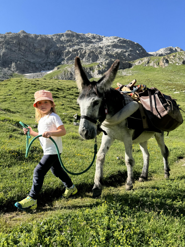 Au Baudet Malin_Peisey-Vallandry