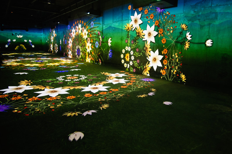 Les Fresques Lumineuses