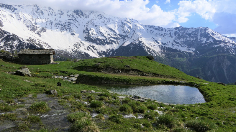 Les Alpages de Rosset - la Chail - © MNPC Les Alpages de Rosset - la Chail