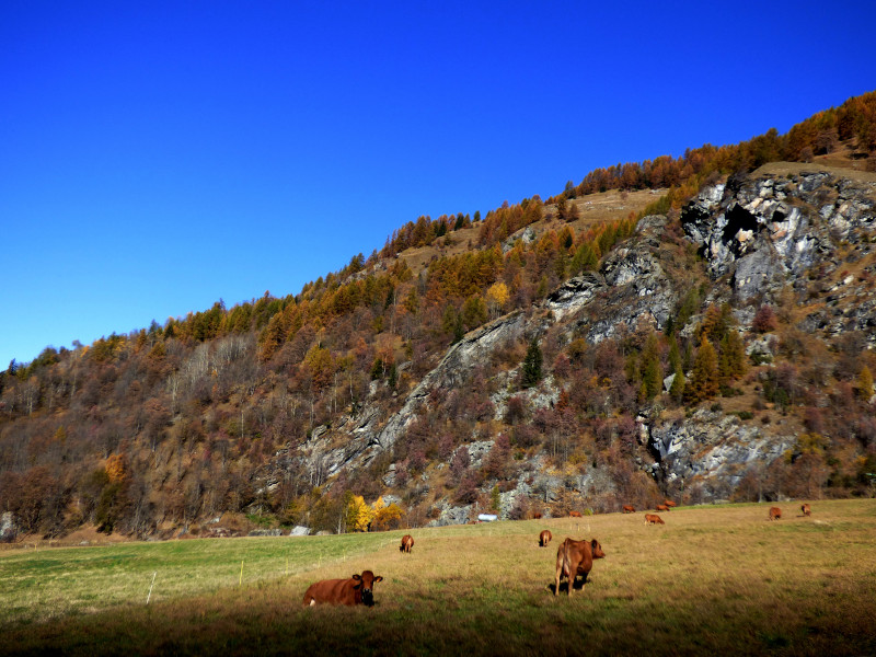 Sentier des noisettes