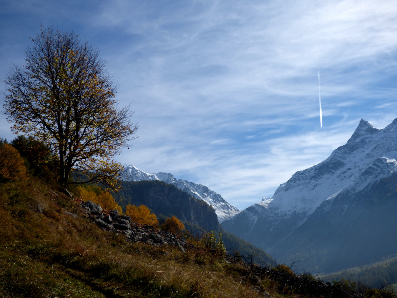 Sentier des noisettes