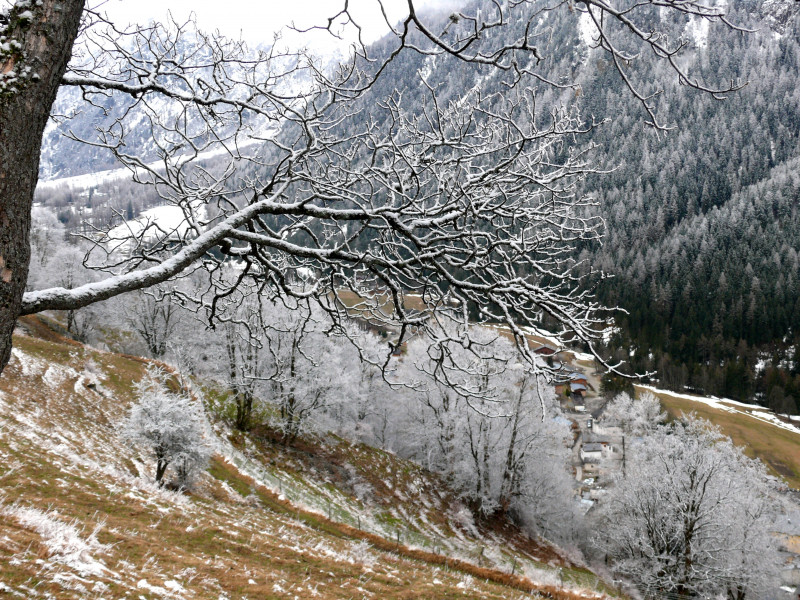 Sentier des noisettes