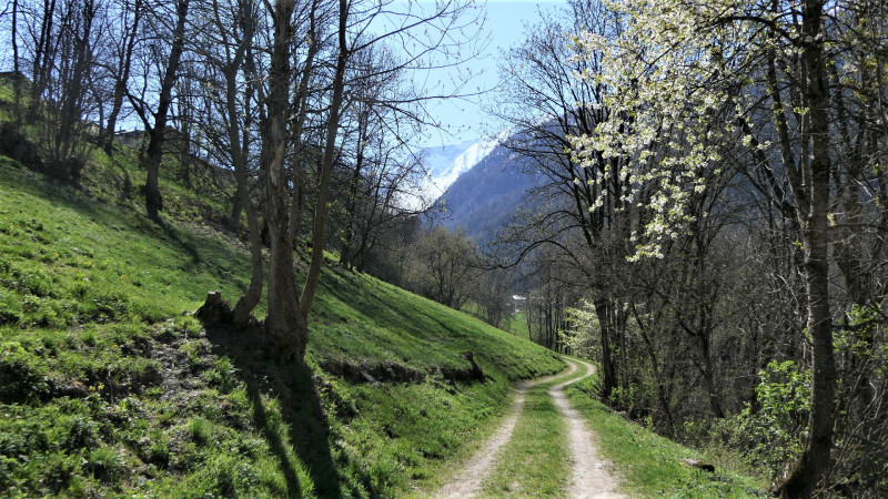 Moulin - Le Villaret par la Tachonière Moulin - Le Villaret par la Tachonière