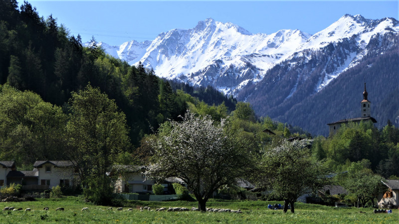 Circuit des poussettes - © MNPC Circuit des poussettes