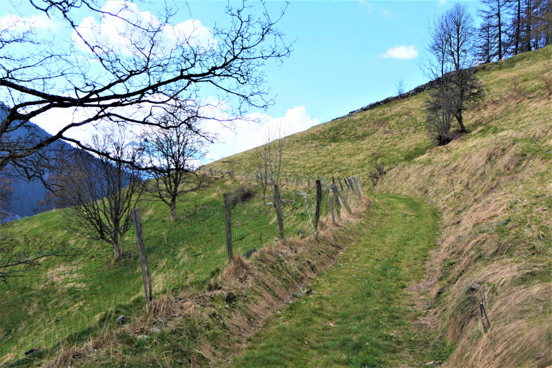 Sentier des noisettes - © MNPC Sentier des noisettes