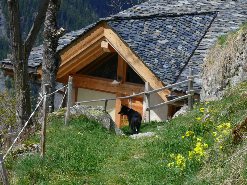 Sentier des noisettes - © MNPC Sentier des noisettes