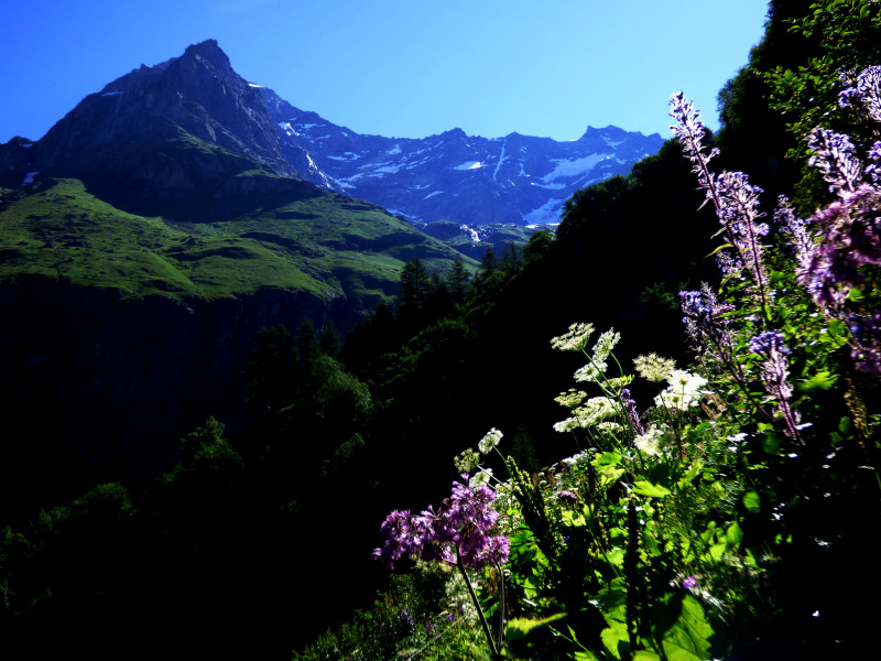 la Rêbe - © mnpc la Rêbe