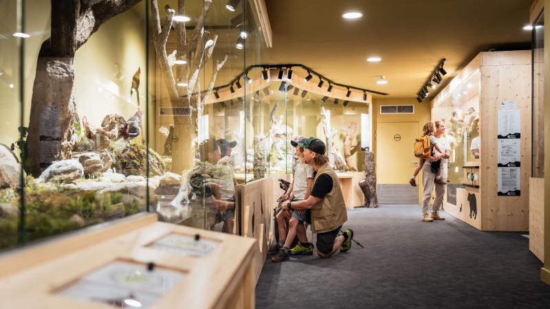 Muséum des Animaux de Montagne_Landry