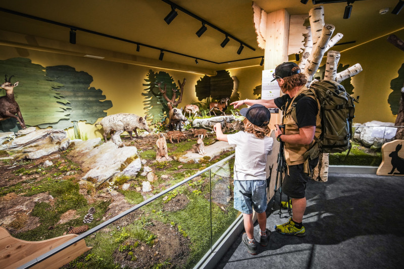 Muséum des Animaux de Montagne_Landry