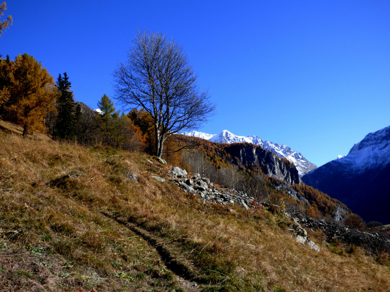 Sentier des noisettes