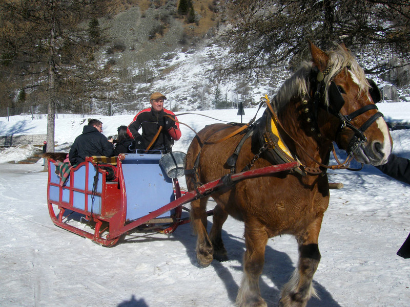 Balade en traîneau