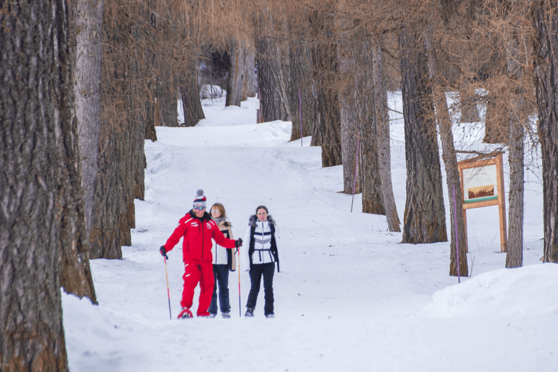 Französische Skischule in Pont Baudin