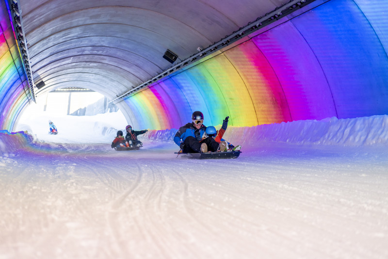 Descente en luge biplace