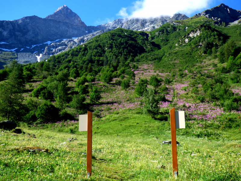 sentier lecture depaysage Rosuel