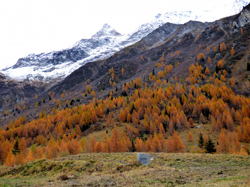 sentier lecture de paysage