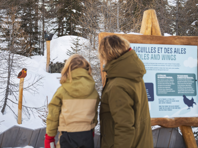 Les Géants de Malgovert depuis le sentier des Arollins
