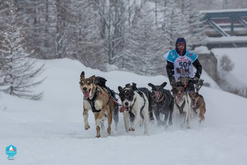 Tarentaise Traîneau Mushing_Peisey-Vallandry Tarentaise Traîneau Mushing_Peisey-Vallandry