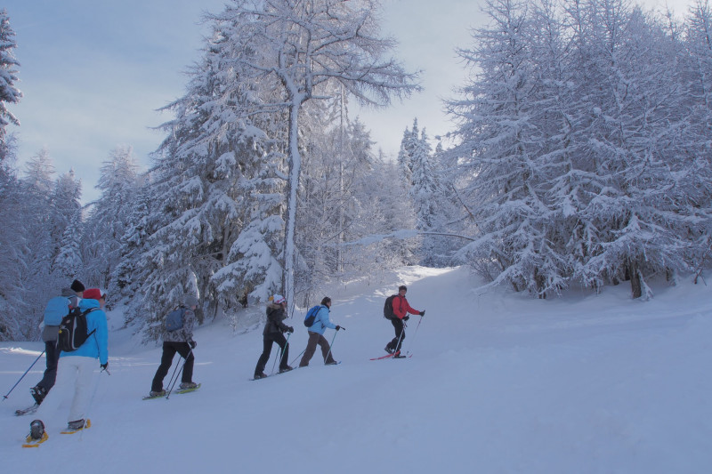 Vaugelas Dome Snowshoes