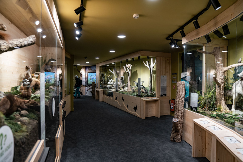 Muséum des Animaux de Montagne - © Le Petit Français Muséum des Animaux de Montagne