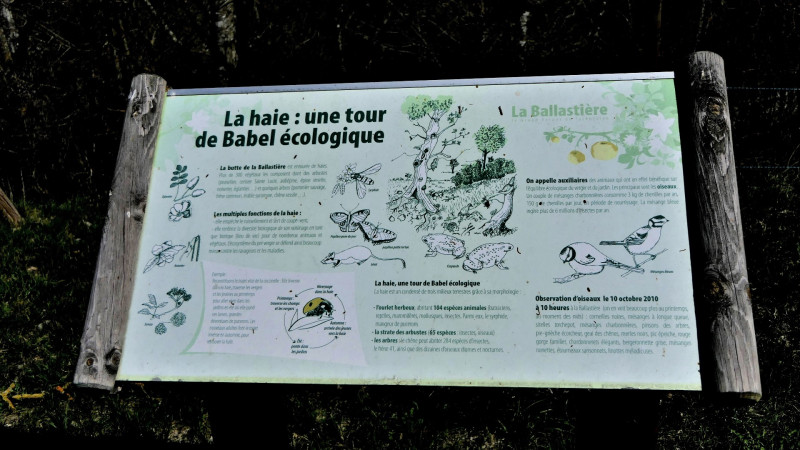 verger de la Balastière