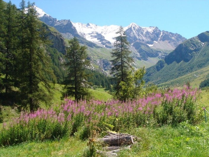 vue-du-p-tit-refuge-80093