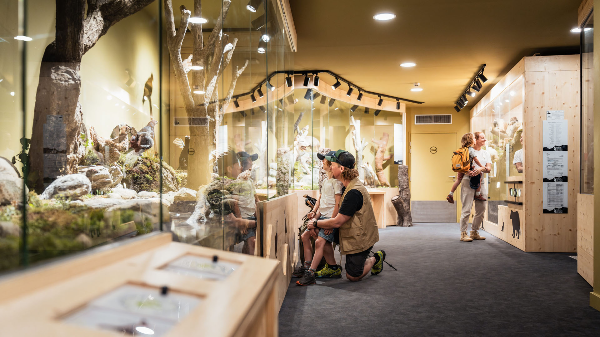 moutain-animals-museum