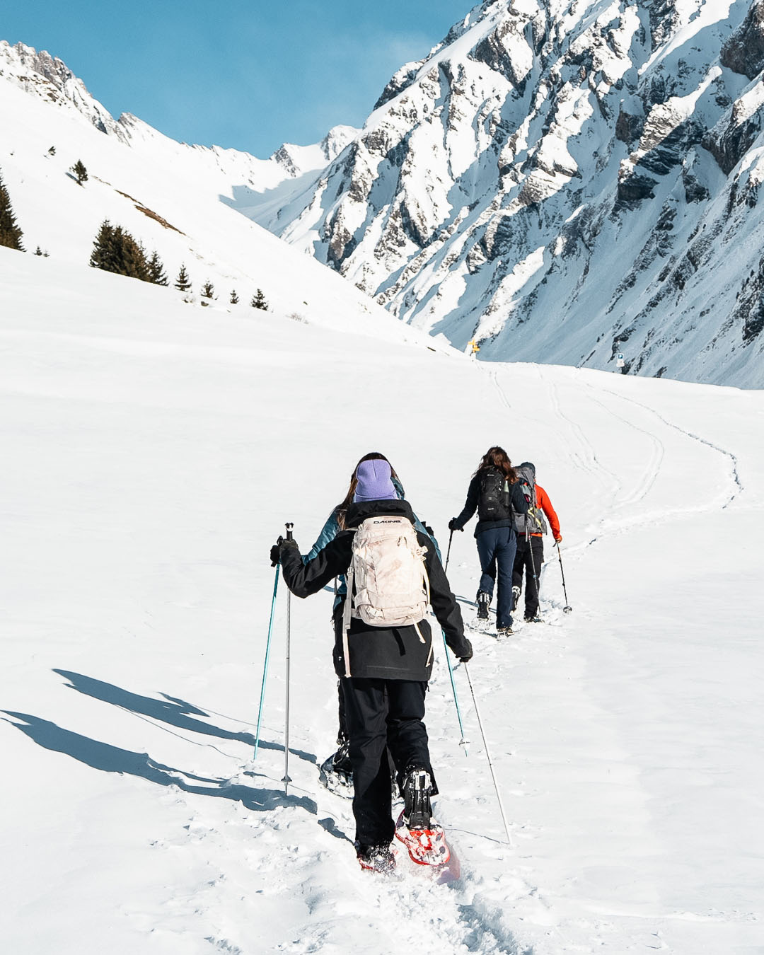 snowshoes