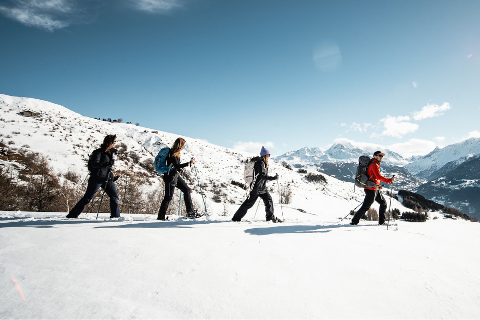 snowshoes