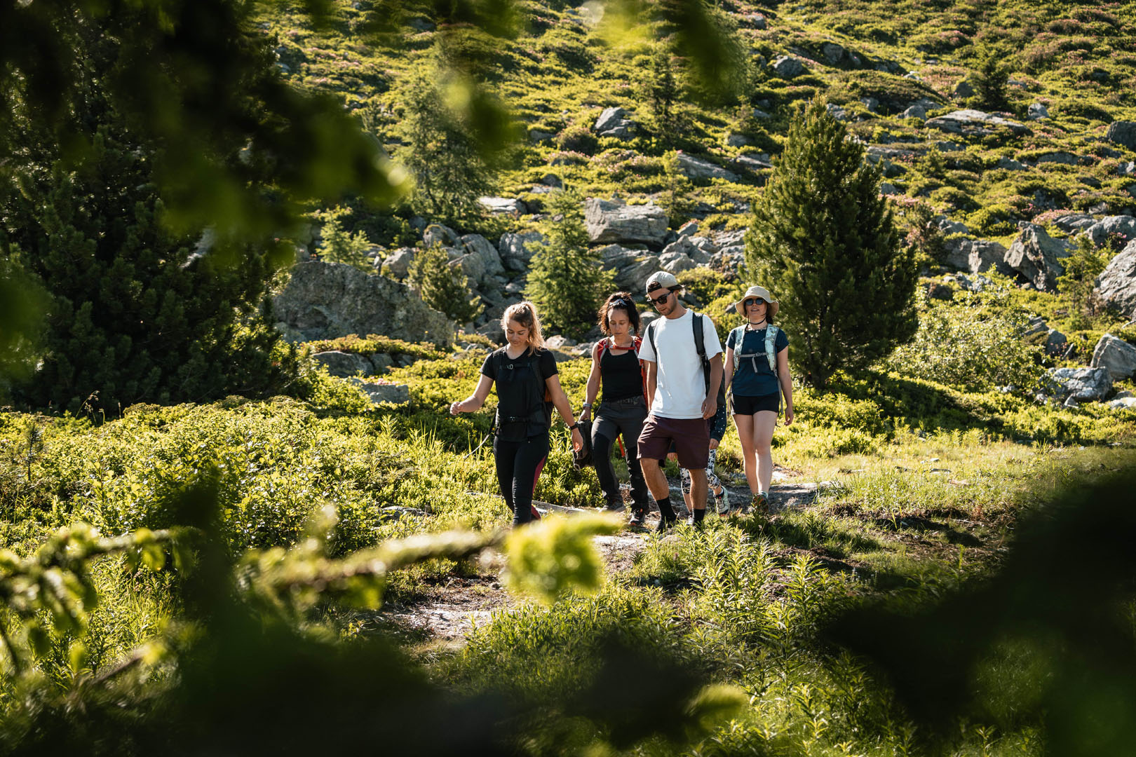 sentier-arollins
