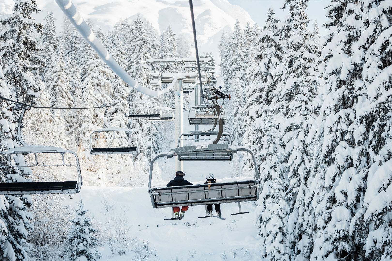 Sessellift im Wald