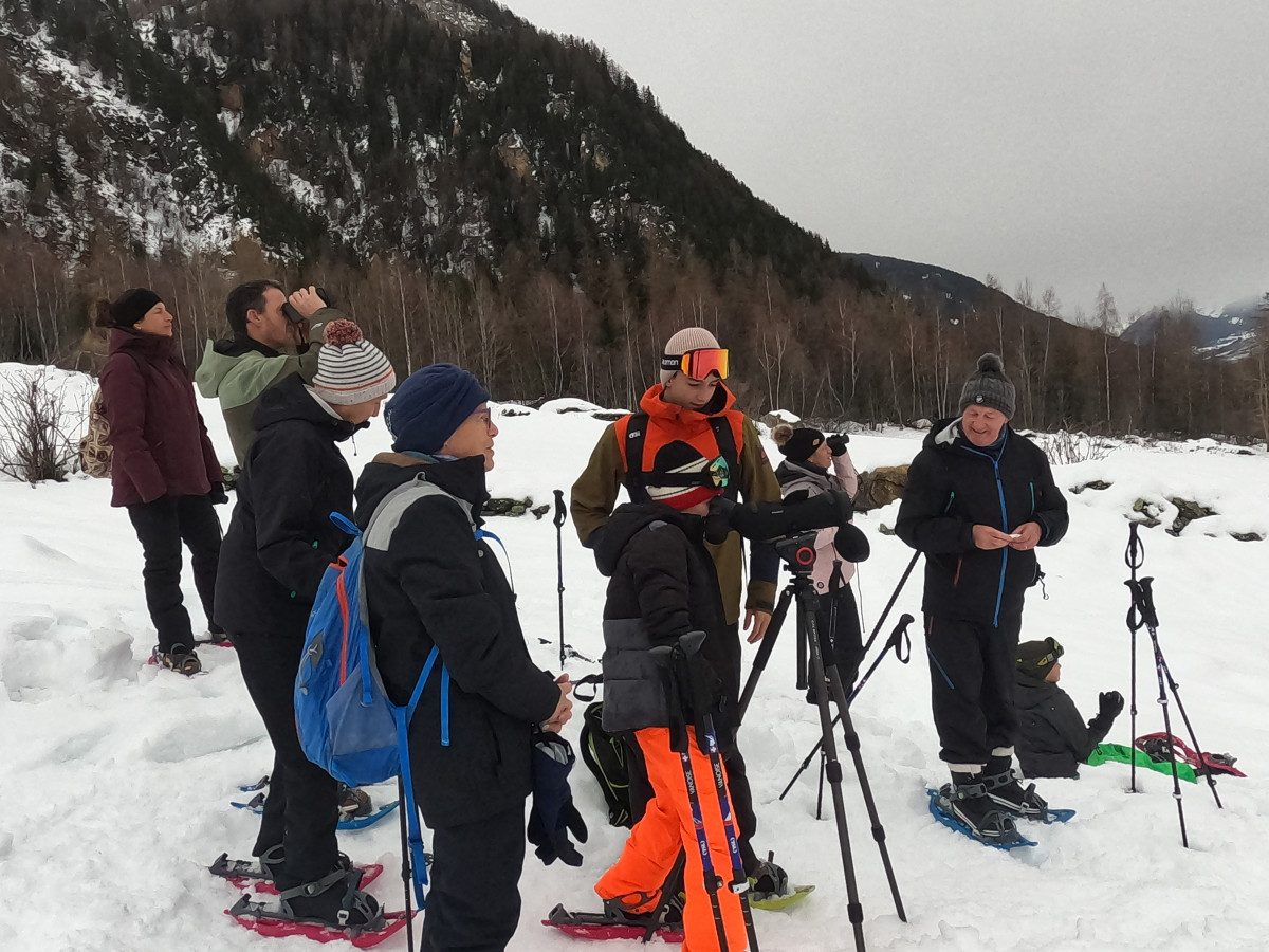 Marche étoilé Marche étoilé