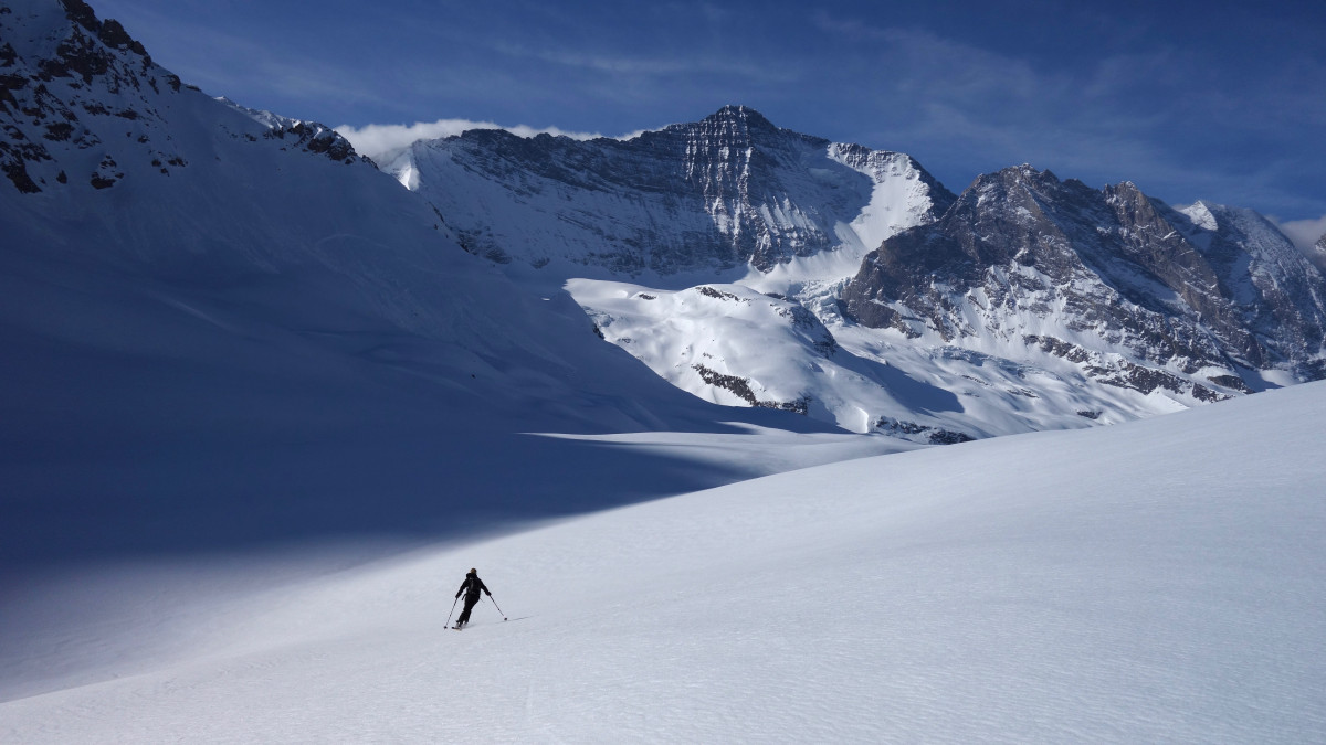 Bureau des guides Bureau des guides