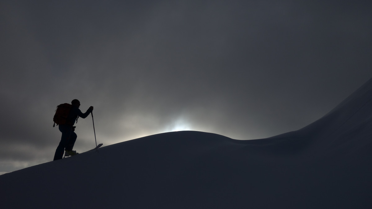 Bureau des guides Bureau des guides