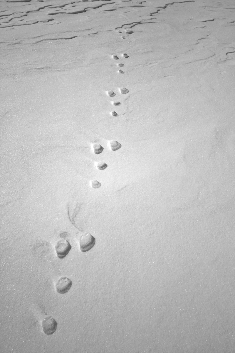 bureau des guides bureau des guides