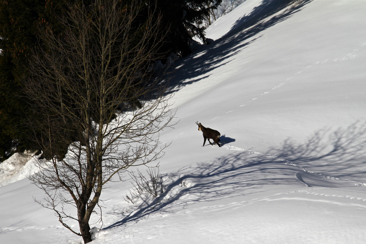 bureau des guides bureau des guides
