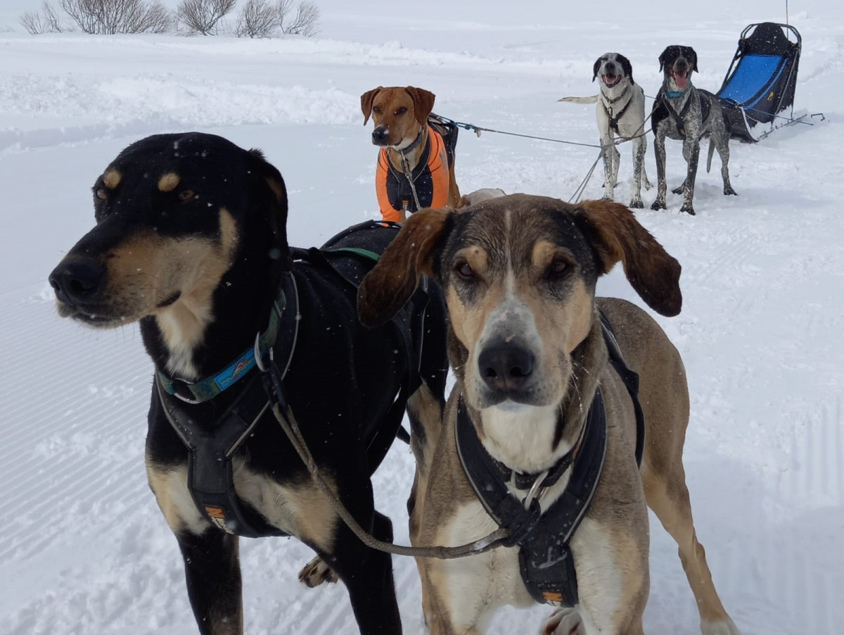 Iron et Soukoy Iron et Soukoy