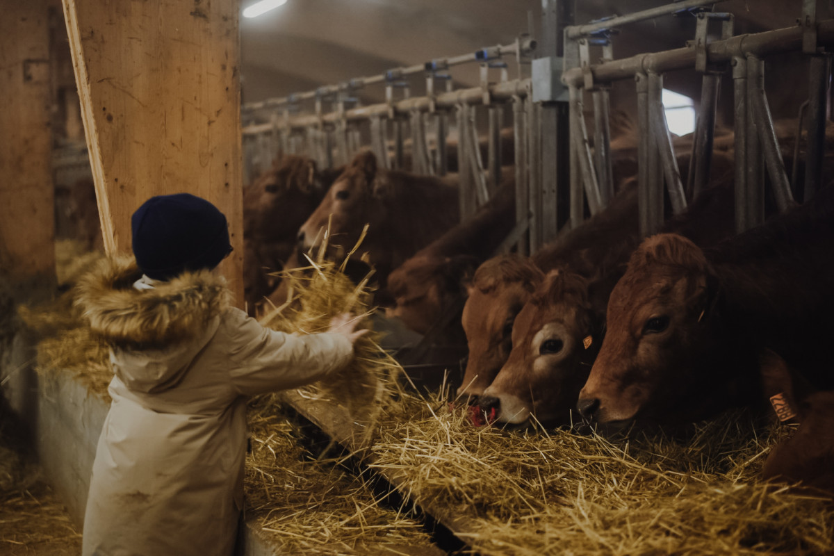 Visit to the GAEC Alpin farm - © Elliot Gieu Visit to the GAEC Alpin farm