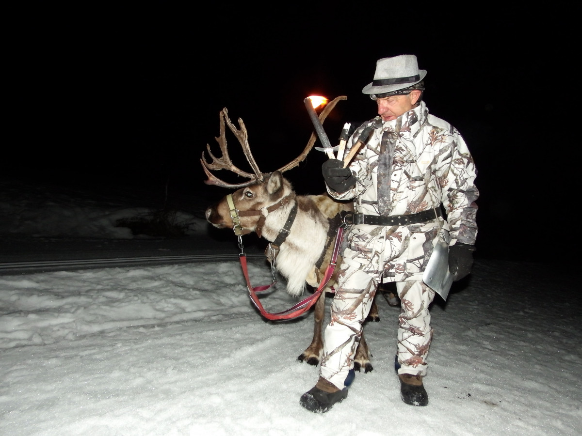 Sortie raquette nocturne avec les rennes & accompagnateur en moyenne-montagne