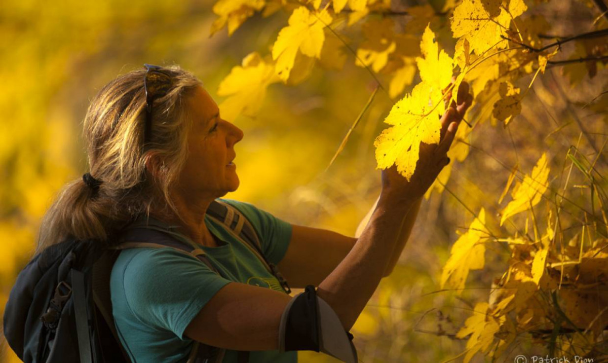 Botany Passion, medicinal and culinary plants_Peisey-Nancroix - © Marie-Odile Dion Botany Passion, medicinal and culinary plants_Peisey-Nancroix