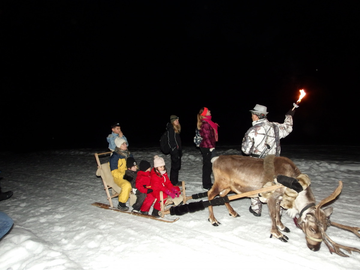 Sortie raquette nocturne avec les rennes & accompagnateur en moyenne-montagne