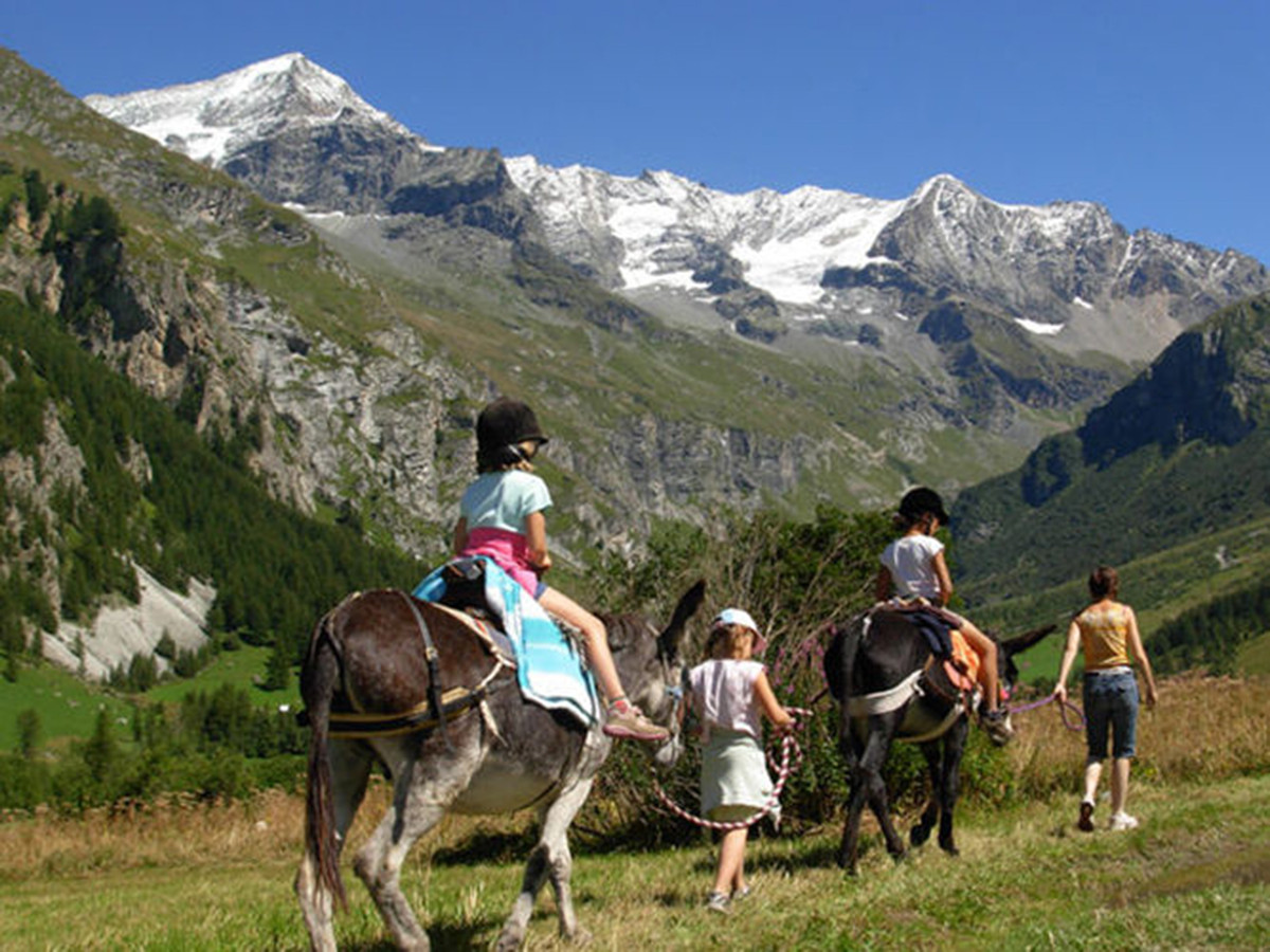 Balade en ânes - © Au Baudet Malin Balade en ânes
